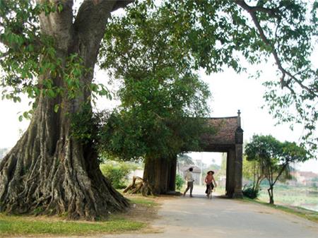 Trở lại cội nguồn